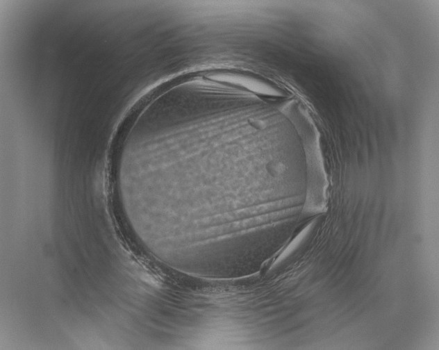 X0000073530724200608141025