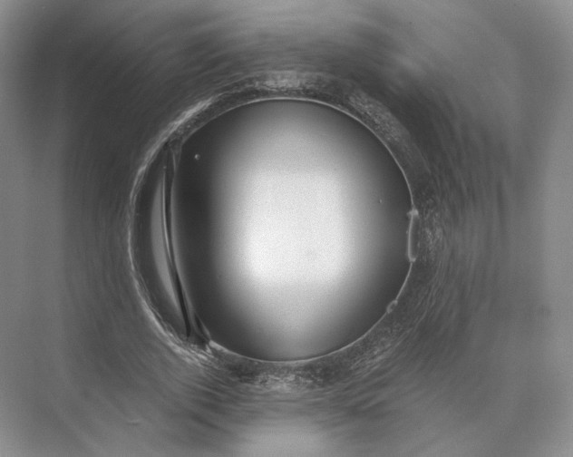 X0000073530728200608141025