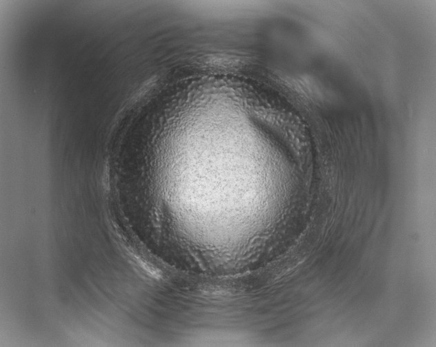 X0000073530729200608141025