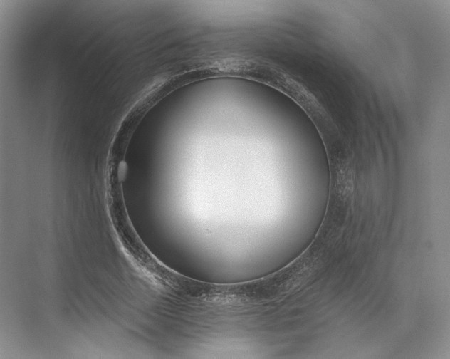 X0000073530730200608141025