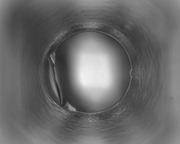 X0000073530731200608141025