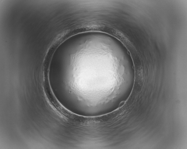 X0000073530734200608141025