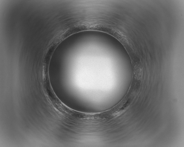 X0000073530740200608141026