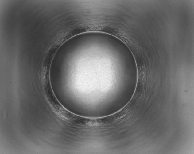X0000073530742200608141026