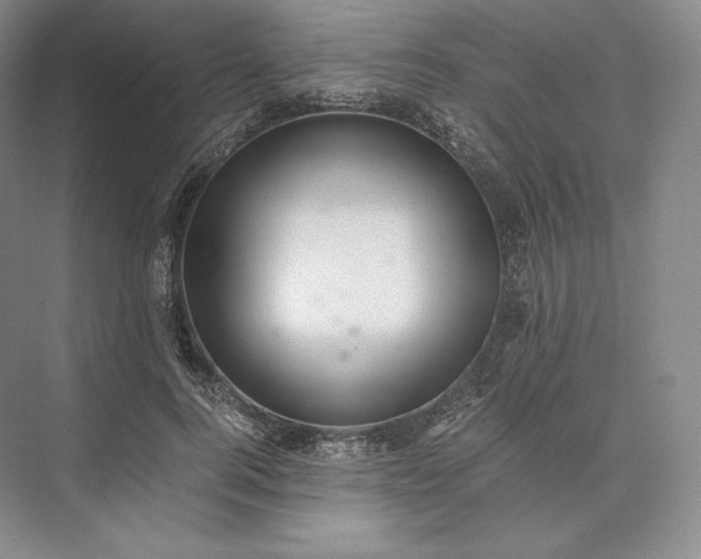X0000073530744200608141026