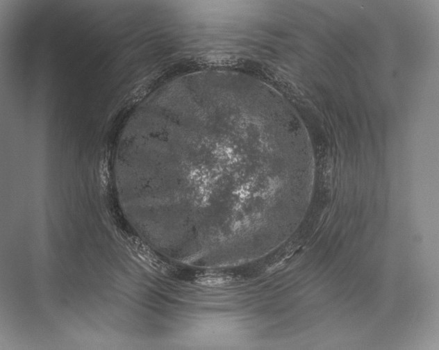 X0000073530746200608141026