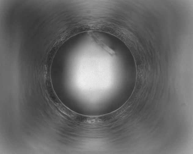 X0000073530752200608141026