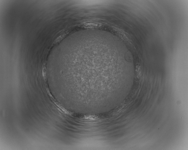 X0000073530753200608141026