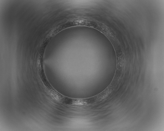 X0000073530754200608141026