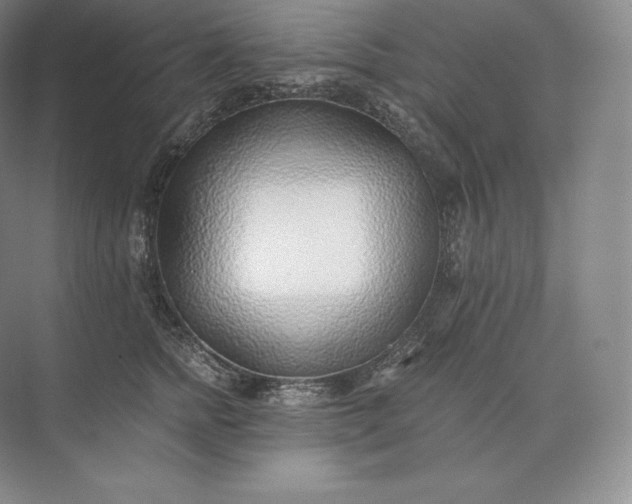 X0000073530758200608141026