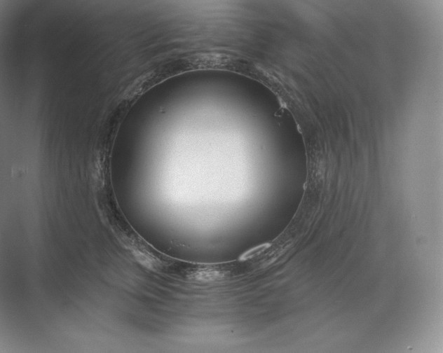 X0000073530759200608141026