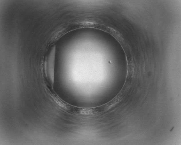 X0000073530762200608141026
