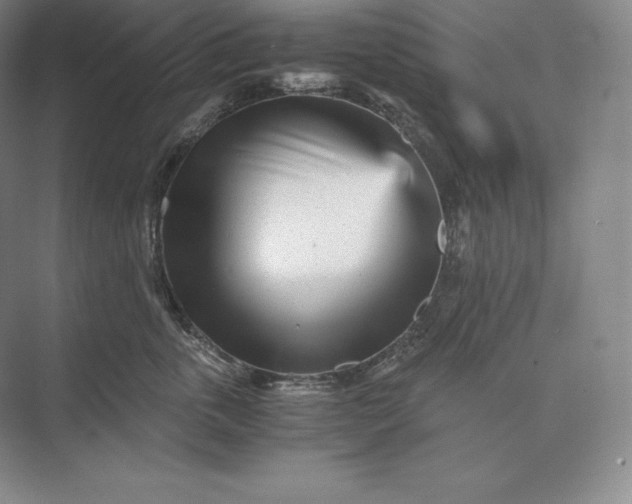 X0000073530763200608141026