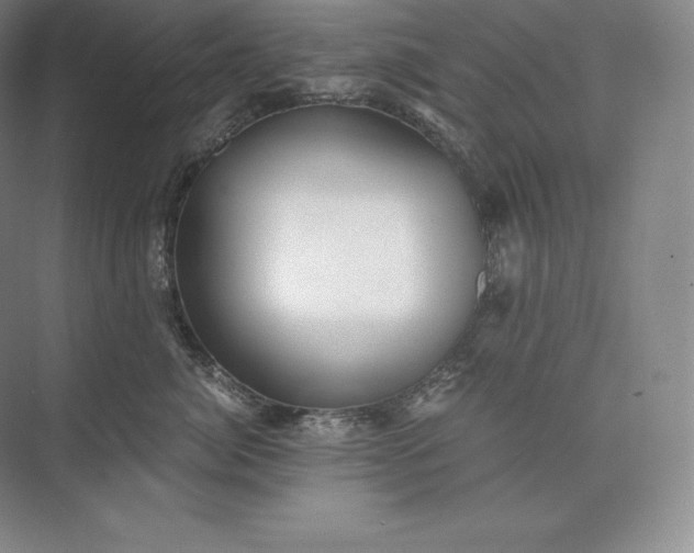 X0000073530764200608141026