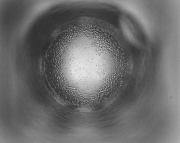 X0000073530765200608141026