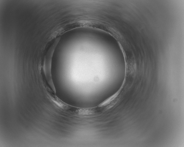 X0000073530766200608141026