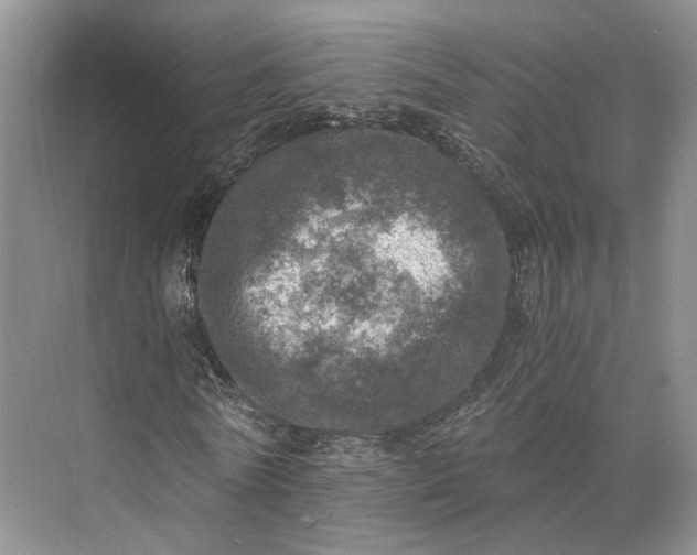 X0000073530770200608141025