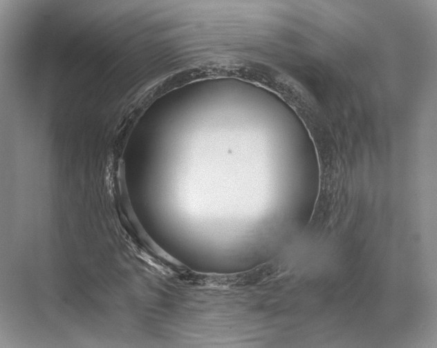 X0000073530773200608141025