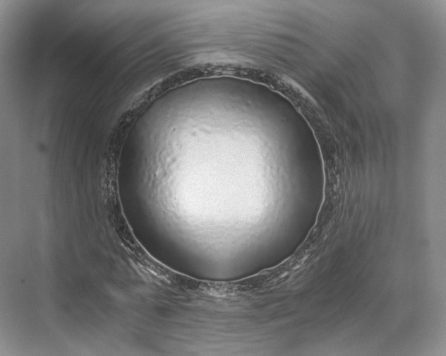 X0000073530775200608141025