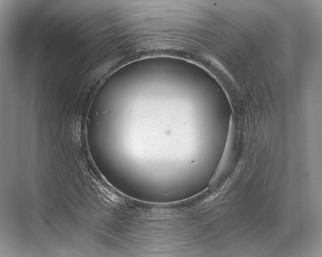 X0000073530777200608141025