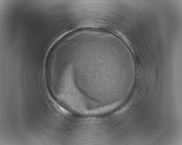 X0000073530779200608141025