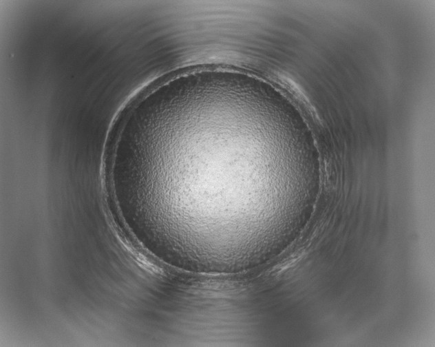 X0000073530780200608141025