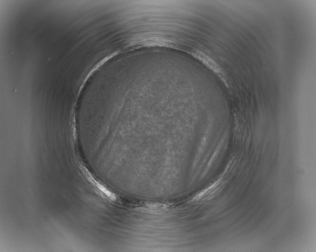 X0000073530782200608141025