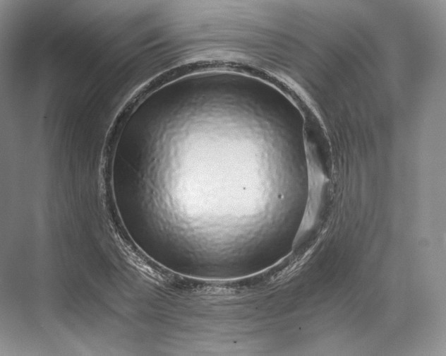 X0000073530783200608141025