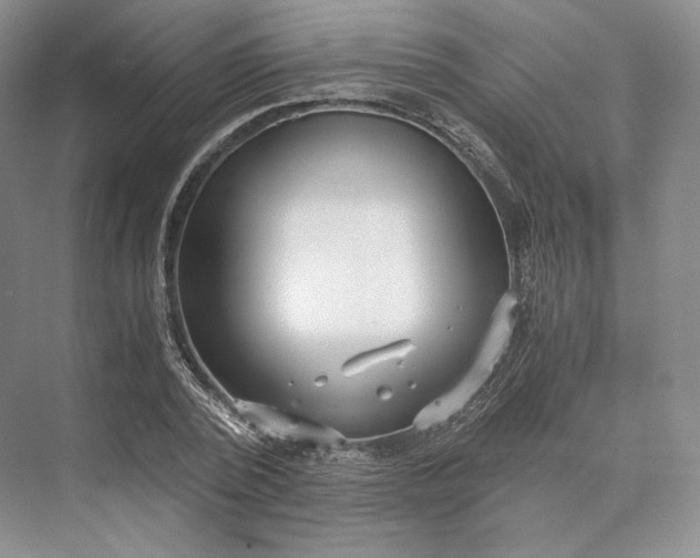X0000073530784200608141025