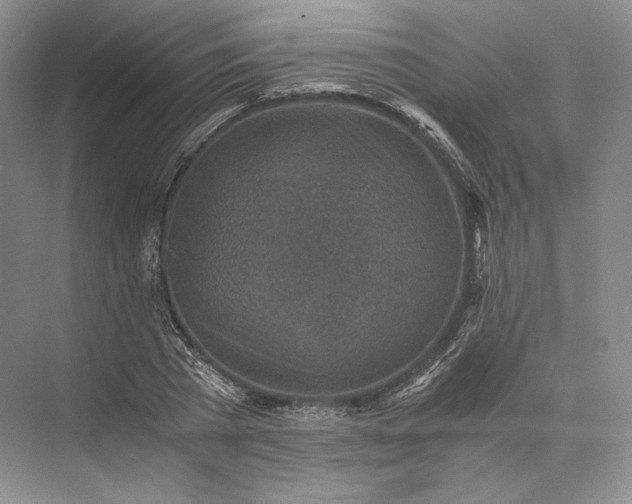 X0000073530785200608141025