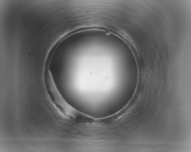 X0000073530789200608141025