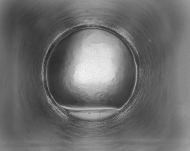 X0000073530791200608141025