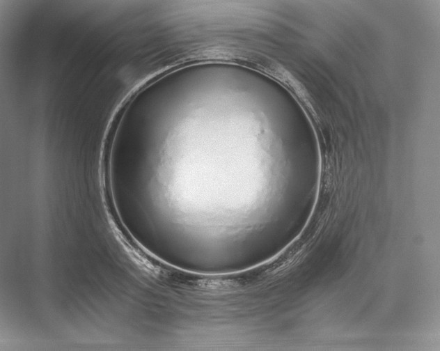 X0000073530795200608141025