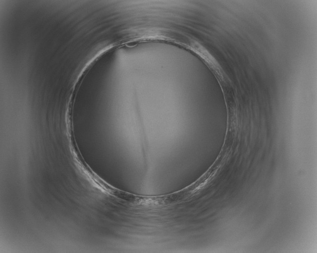 X0000073530806200608141025