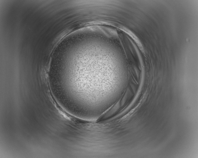 X0000073530809200608141025