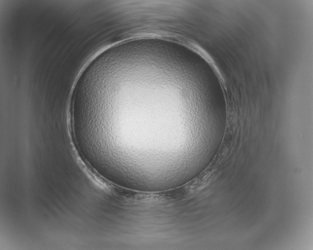 X0000073530811200608141025