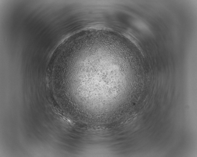 X0000073530823200608141024