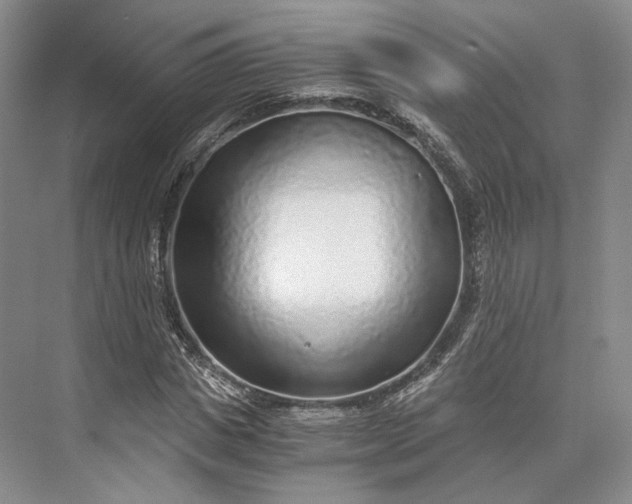 X0000073530825200608141024