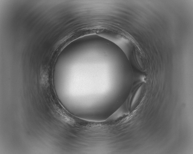 X0000073530826200608141024
