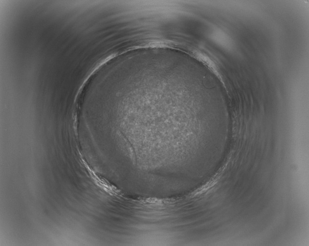 X0000073530827200608141024