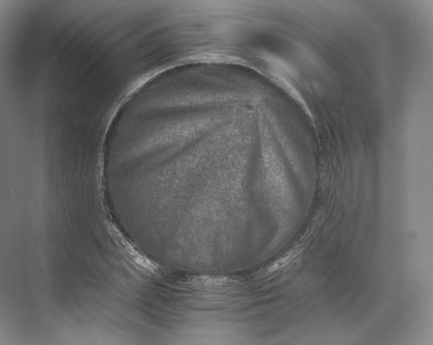 X0000073530831200608141024