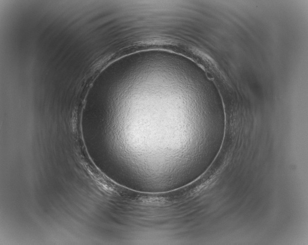 X0000073530833200608141024