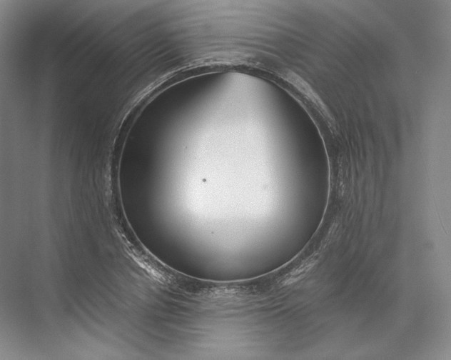 X0000073530834200608141024