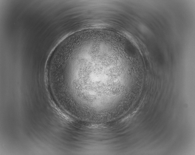 X0000073530835200608141024