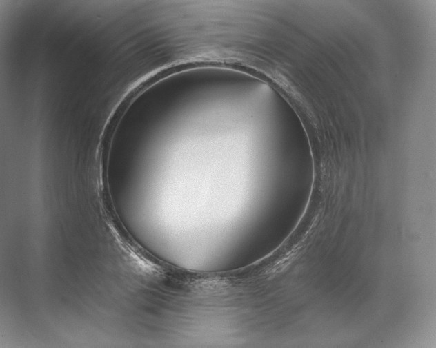 X0000073530838200608141024