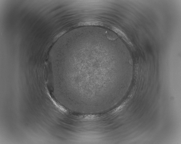 X0000073530841200608141024