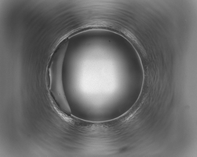 X0000073530842200608141024
