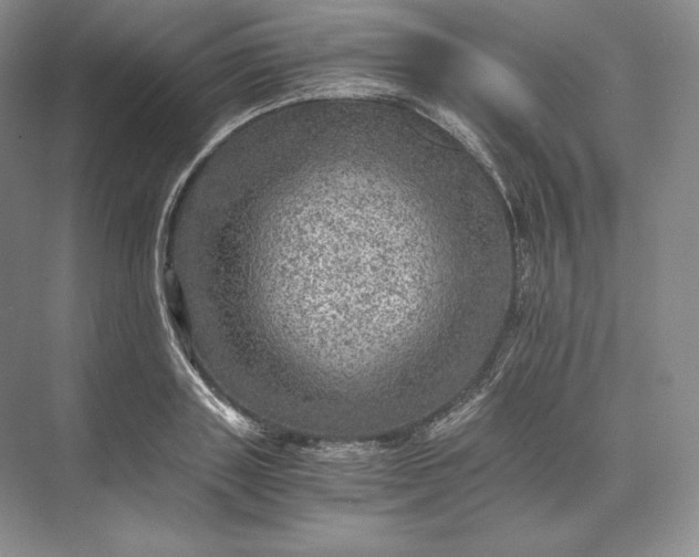 X0000073530843200608141024