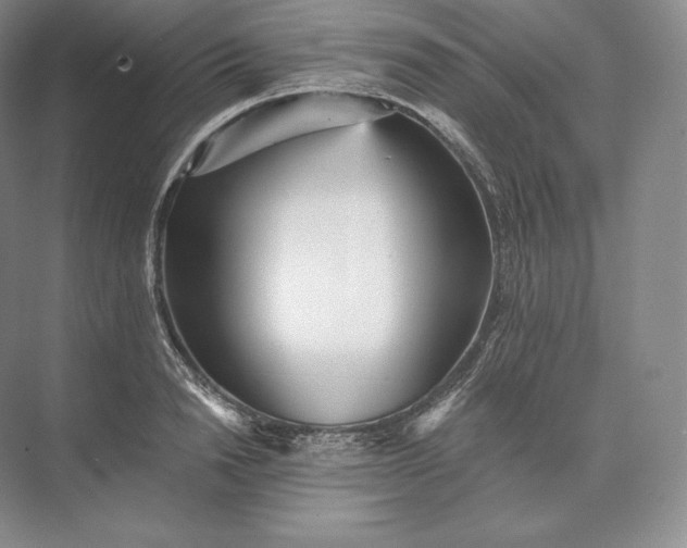 X0000073530846200608141024
