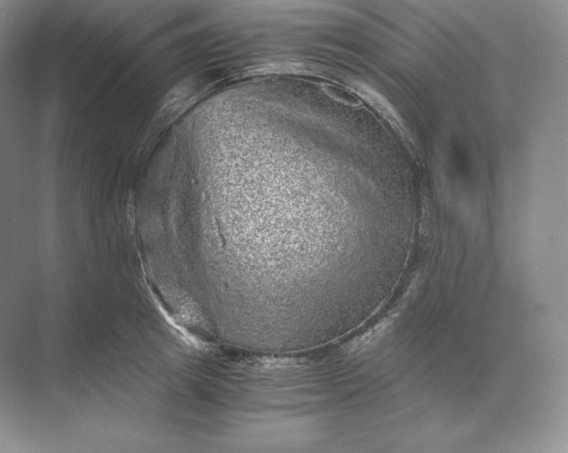 X0000073530849200608141024